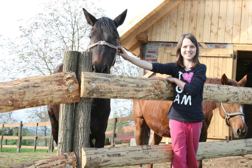 Farmica, Bed&Breakfast, Bazen Izdvojen Nekoliko Minuta Hoda Guest House Ðurđevac Bagian luar foto