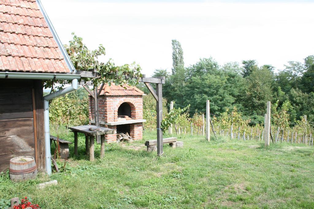 Farmica, Bed&Breakfast, Bazen Izdvojen Nekoliko Minuta Hoda Guest House Ðurđevac Ruang foto