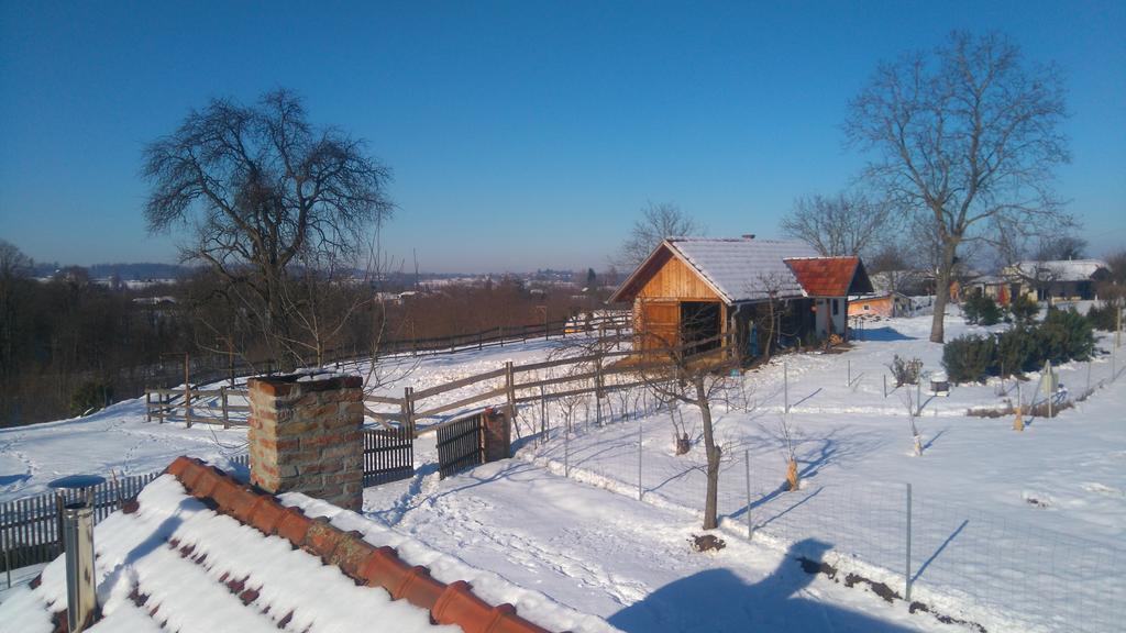 Farmica, Bed&Breakfast, Bazen Izdvojen Nekoliko Minuta Hoda Guest House Ðurđevac Bagian luar foto